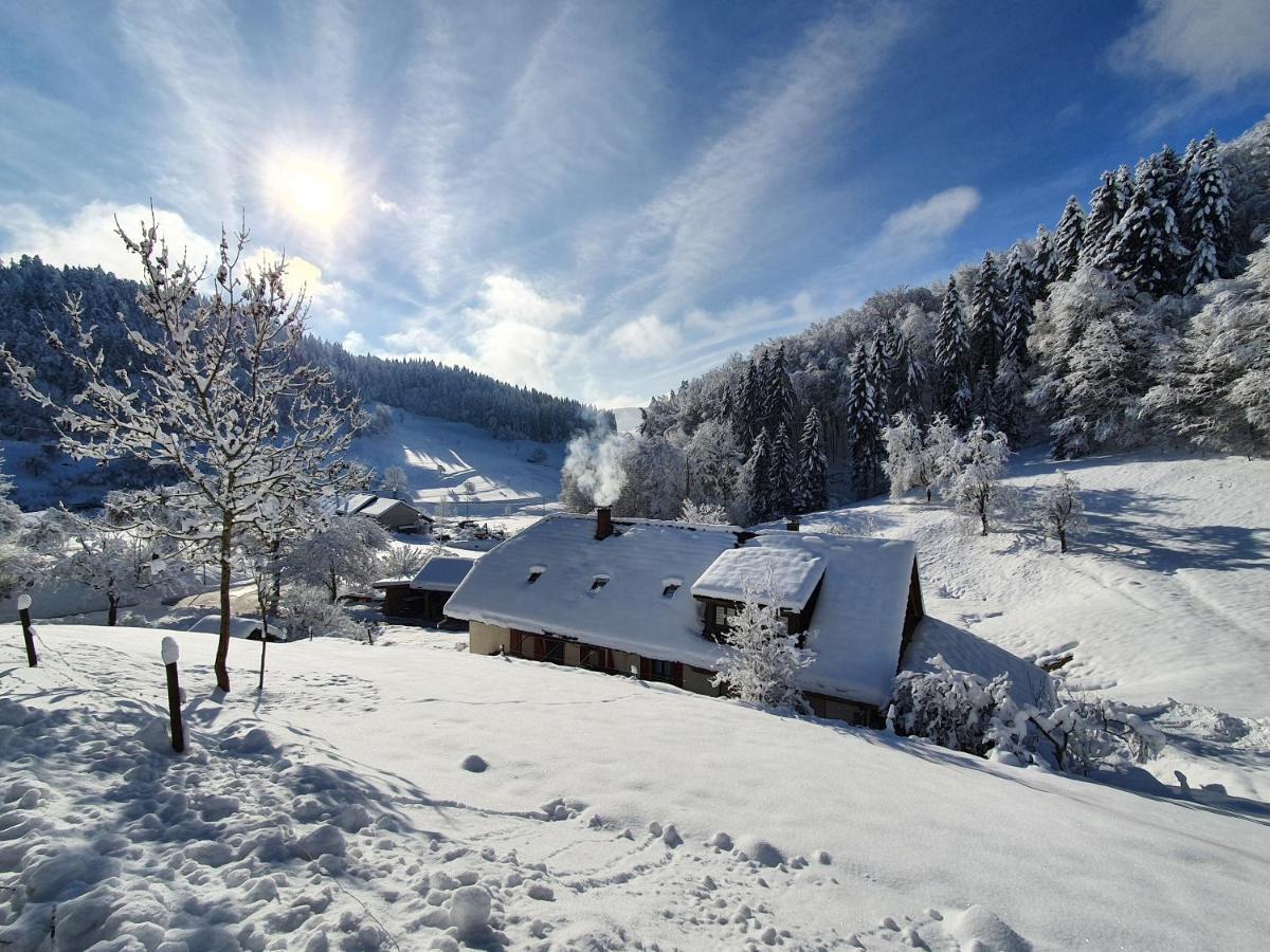 Kleines Wiesental Haus Am Eckle 아파트 외부 사진